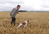  - après la moisson, reprise de l'entraînement